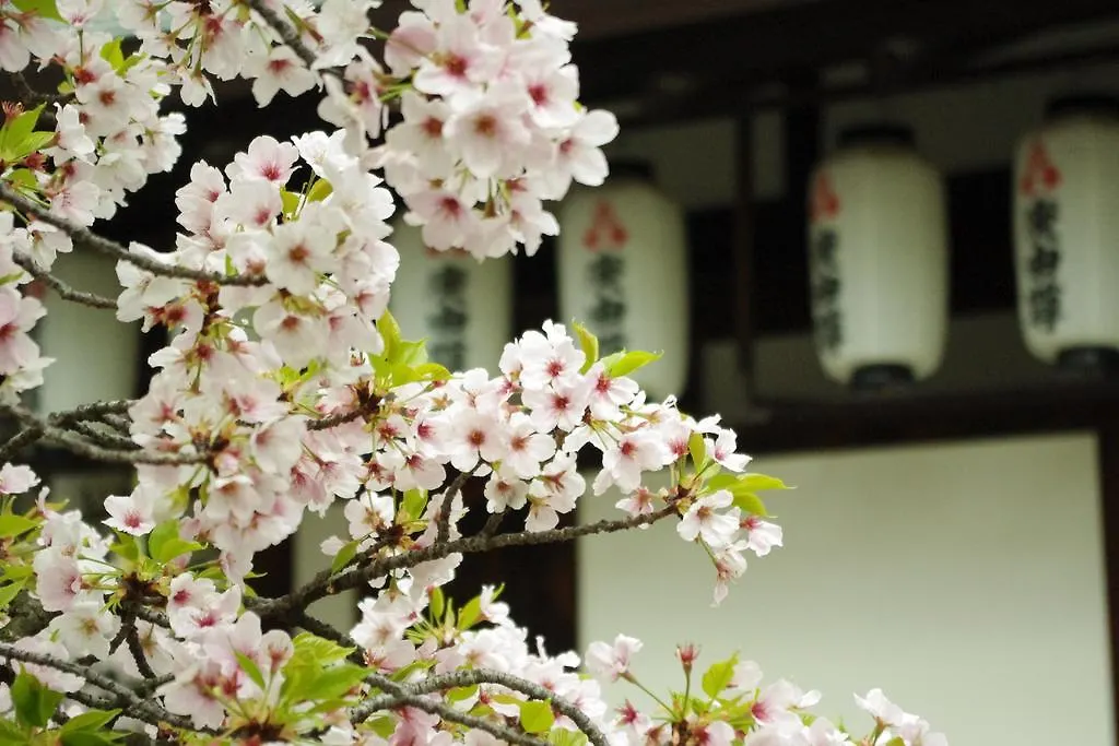 Hotel Casablanca (Adults Only) Osaka Japan